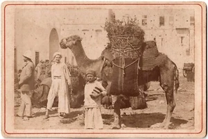 Algérie.Boughar.Boghar 1880.Enfants,Chameau,Colon.Photo Albuminée Cabinet Carte. - Picture 1 of 2