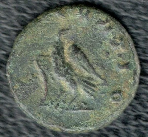 Claudius II, posthumous struck by QUINTILLUS (270 ) Antoninianus  CONSECRATIO  # - Picture 1 of 4