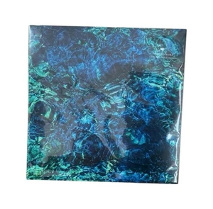 Ichiko Aoba Luminescent Creatures Limited Vinyl LP Black Disc Record - Imagen 1 de 3