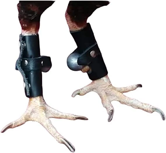 BOOTS , BOTINES, BOTAS DE CUERO CON PESO | BOOTS - 1 PAIRS