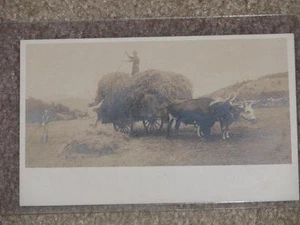 Heno de recolección RPPC, con vagón y bueyes, principios de 1900 - Imagen 1 de 1