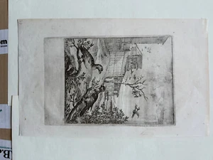 Dirck Stoop (ca. 1618-1681) Kuckuk und Falke Orig. Radierung um 1650 Ornitologie - Picture 1 of 4
