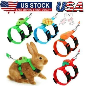 Adjustable Bunny Rabbit Harness and Leash Set Small Pet Cute Vest Harness Leash - Picture 1 of 7