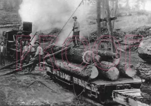 Sumpter Valley Railroad (SVR) Flat Car 602 with logs at Baker, OR - 8x10 Photo - Picture 1 of 1