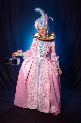 Versailles Marie Antoinette Gown Dress Halloween Sz L/XL Wig Shoes Rococo OOAK - Image 1 of 4