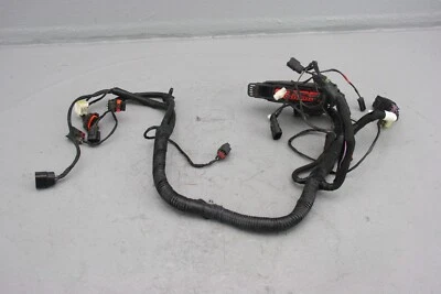 Arnés de cableado electrónico de encendido Victory Judge ECU ECM 2013 - 2411519 Foto 1 de 4