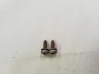 Pernos del panel de acceso interior del portón trasero | Se adapta a Ford F250 F350 F450 2008-2012 Foto 1 de 4