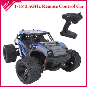 1/18 Simulation Remote Control Car 2.4GHz Racing Toy High Speed 45KM/H RC Car - Picture 1 of 12