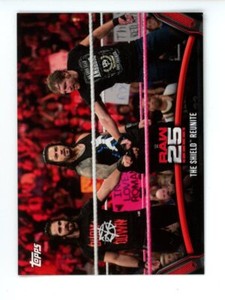 2018 Topps WWE Then Now Forever 25 Years Of Raw The Shield Reunite RAW-48