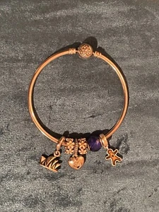 Pandora Heart of Winter Bangle Bracelet + Stunning Charms - All ALE Hallmarked - Picture 1 of 15