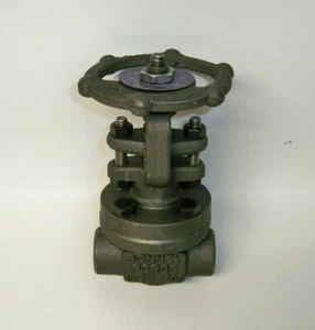 NEW Bonney Forge 197612-001 Steel Gate Valve 1/2" - 800 A105N AAEA - Picture 1 of 2