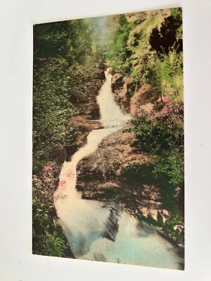 Upper and Middle Falls at Buck Hill Falls Pennsylvania Postcard - Image 1 of 2