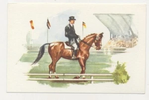 OLYMPIC SPORTS ÉQUITATION REITSPORT DRESSAGE DRESSURREITEN IMAGE CARD - Picture 1 of 2