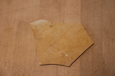 Fossil Schnecke Negativ auf Solnhofer Platte * Fundort Blumenberg Nähe Eichstätt - Bild 1 von 3