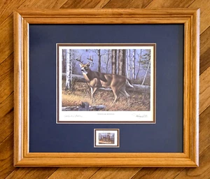 Harry Antis Whitetail Wonder Edizione da Collezione con Francobollo da 5€ Incorniciato Opaco 1994 - Foto 1 di 14