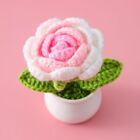 Mini crochet rose fait main petit pot fleur laine fleur