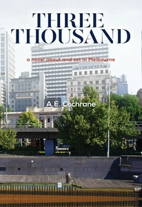 Three Thousand by A.E. Cochrane - Picture 1 of 1