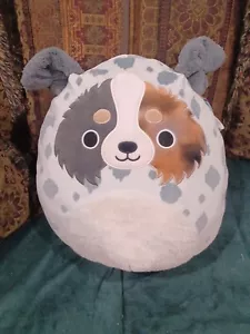Peluche Squishmallows RAYLOR El PASTOR AUSTRALIANO 16", TAMAÑO GIGANTE, NUEVO - Imagen 1 de 6