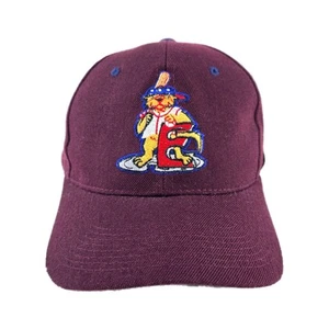 Vintage Evansville Otters Snapback Zephyr Hat Minor League Baseball MiLB NOS NWT - Picture 1 of 11
