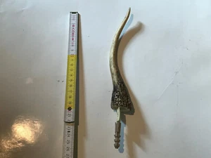 Geweih Garderobe Kleider Wand Hut Haken Hirsch Reh Gehörn Jagd Deko Geschenk 18 - Bild 1 von 7