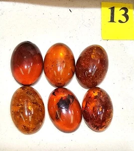 Echter Baltischer Bernstein lang oval Cabochon 10 x 14 mm Lot 6 Stück 13 Karat Lot 13-18 - Bild 1 von 6