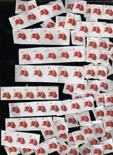 100 U.S.Double pear (.10 cent )Postage Stamps ALL uncancelled 