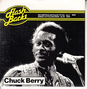 CHUCK BERRY  No Particular Place To Go & Sweet Little Sixteen PICTURE SLEEVE NEW - Picture 1 of 3