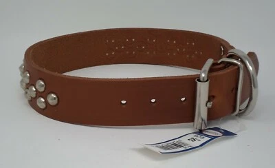 #125.1 / 25" ARNÉS STUDDED COLLAR DE PERRO DE CUERO/PLACA DE IDENTIFICACIÓN DE LATÓN GRATIS Foto 1 de 4