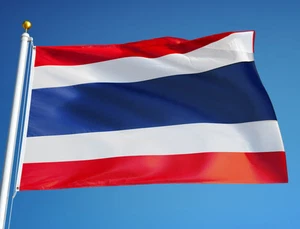 NEW THAILAND 3x5ft FLAG superior quality fade resist us seller - Picture 1 of 3