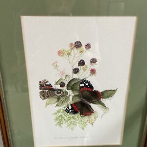 Original Butterfly Watercolor Painting, Red Admiral signed by artist