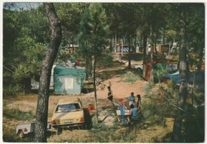 LIDO DI SPINA - FERRARA - CAMPING SPINA - TENDE IN PINETA - VIAGG. -62719- - Picture 1 of 1