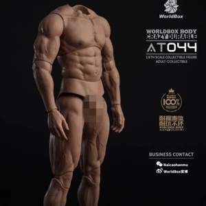 1/6 Soldado Articulaciones Movibles Soldado Cuerpo Músculos Sano Tono de Piel - Imagen 1 de 8