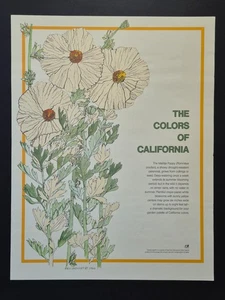1986 Die Farben Kaliforniens Die Matilija-Mohnblume Poster von Ken Shockey - Bild 1 von 7