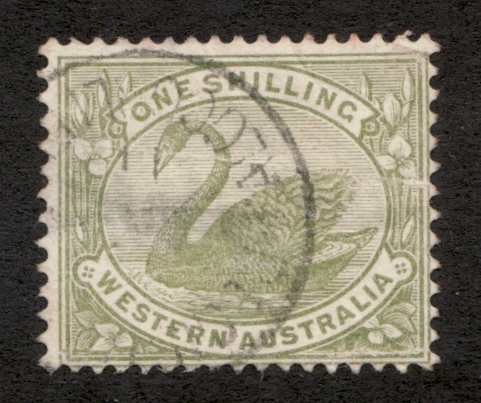 Australia Occidental 1906-07 Sc#100, pf14, Wmk 83, 1sh, Cisne Verde. Cv$7 usado Foto 1 de 1