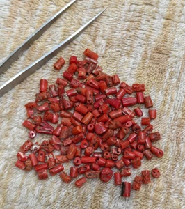 150 Pc Natural White Coral Gemstone Genuine Round Loose Beads For Jewelry Making - Picture 1 of 5