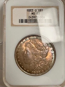 1883-O MORGAN $ /BEAUTIFUL FULLY TONED / COLLECTOR'S BIG FATTY HOLDER / NGC MS63 - Picture 1 of 6