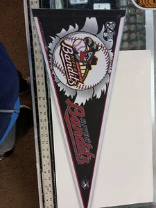Banderín de béisbol MWL Quad Cities River Bandits vintage 2008 logotipo del equipo en soporte - Imagen 1 de 5