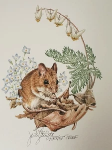 Judy Mizell Deer Mouse Signed Artist Proof Woodlands Plate2 Print 1985 Original - Bild 1 von 17
