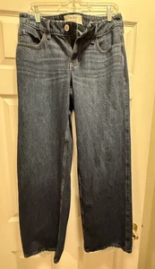 Hollister Damen dunkelblau Low-Rise Baggy Wide Leg Jeans Größe 8/9 - 29W lang LN - Bild 1 von 5
