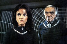 Battlestar Galactica Maren Jensen Lorne Greene In Front Of Web Board 24x36Poster