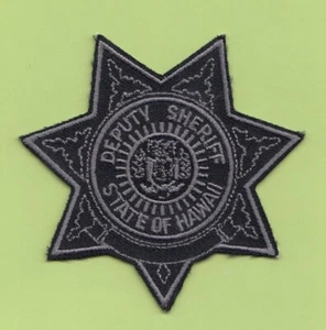 A42 SUBDU HAWAII PUBLIC SAFETY DEPT LAW ENFORCEMENT SHERIFF DPS PATCH POLICE FBI - Picture 1 of 1