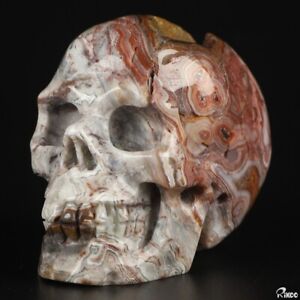 Free Shipping Gemstone 2.0" Red Crazy Lace Agate Hand Carved Crystal Skull, Real
