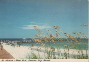St Andrew's State Park Panama City Florida Kontinental Postkarte - Bild 1 von 2
