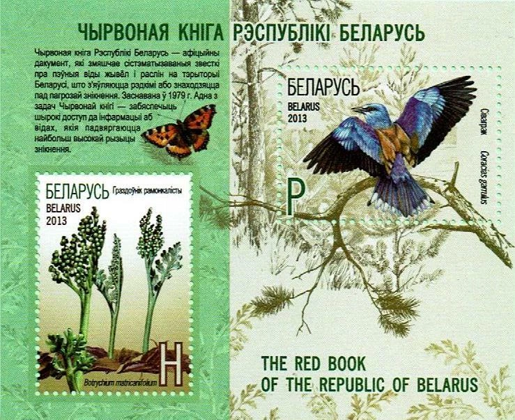 Hoja de recuerdo de BIELORRUSIA 2013 - Libro rojo Bielorrusia - Moonwort & European Roller Foto 1 de 1