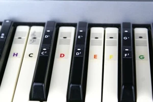 Piano Klavier Keyboard Noten Aufkleber Sticker C-D-E-F-G-A-H color - Bild 1 von 6