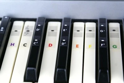 Piano Klavier Keyboard Noten Aufkleber Sticker C-D-E-F-G-A-H color