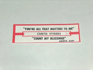RARE 45 RPM Vinyl Curtis Stigers You're All That Matters 2Me Jukebox Title Strip - Imagen 1 de 2