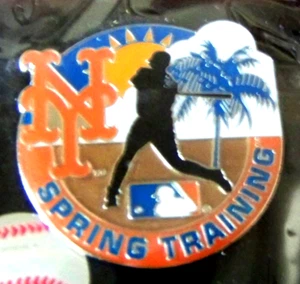 NY New York Mets Spring Training pin MLB FREE SHIPPING - Picture 1 of 7