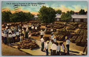 Postal FL Tarpon Springs Florida Venta en Progreso Intercambio de Esponjas 1952 - Imagen 1 de 2