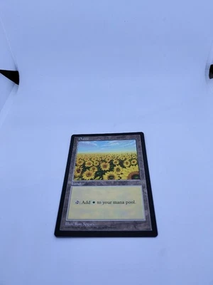 MTG APAC Land Sunflower Plains Magic The Gathering Card NM Near Mint - Image 1 of 2